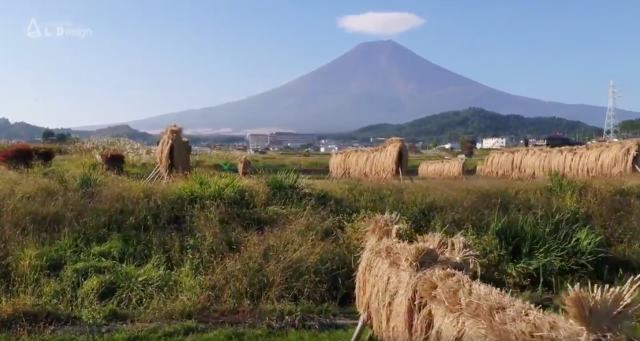 富士吉田市では9月の終わりから10月中旬までに稲刈りが行われますが、さきほどご紹介した大きな農機(コンバイン)を使わず、昔ながらの「ハゼ干し」を行う田んぼもあります。
稲刈りが終わると、富士山の麓の町である富士吉田市は、もう冬の準備が始まります。 富士吉田市では9月の終わりから10月中旬までに稲刈りが行われますが、さきほどご紹介した大きな農機(コンバイン)を使わず、昔ながらの「ハゼ干し」を行う田んぼもあります。
稲刈りが終わると、富士山の麓の町である富士吉田市は、もう冬の準備が始まります。