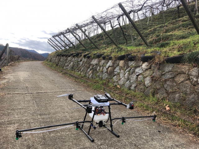 散布する場所はかなりの傾斜地で、棚も斜めになっています。その棚の上からドローンを傾斜に沿って飛ばし、水を噴霧して、どんな感じになるのかを試しました。 散布する場所はかなりの傾斜地で、棚も斜めになっています。その棚の上からドローンを傾斜に沿って飛ばし、水を噴霧して、どんな感じになるのかを試しました。